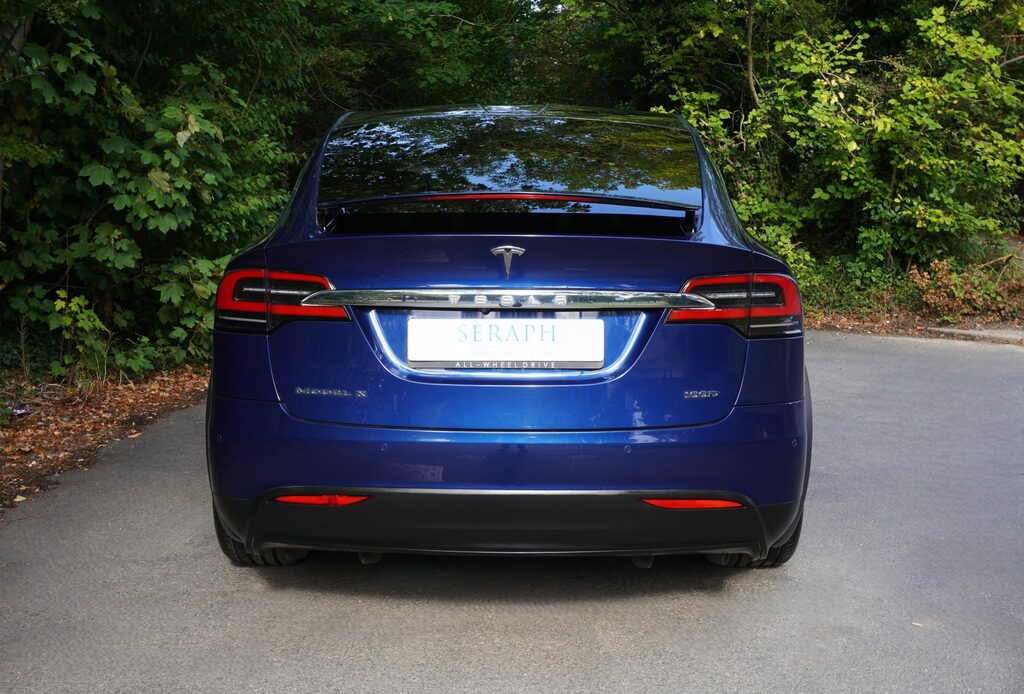 Tesla Model X 100D Dual Motor Blue #6