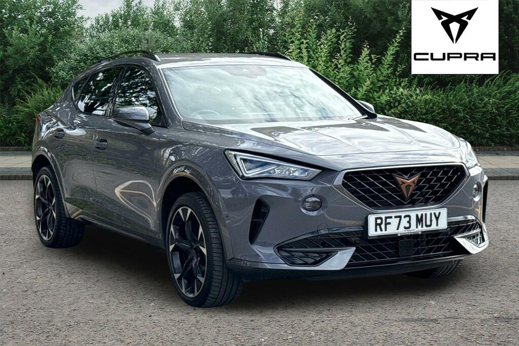 Cupra Formentor 1.5 Tsi 150 V2 Dsg Grey