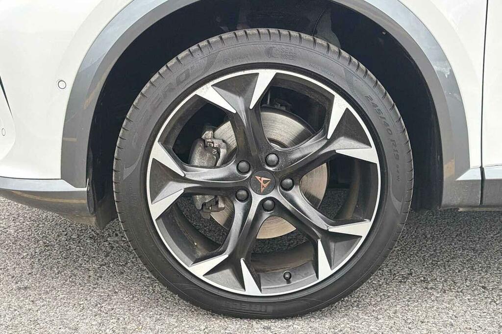 Cupra Formentor 2.0 Tsi 310 Vz2 Dsg 4Drive Black #39