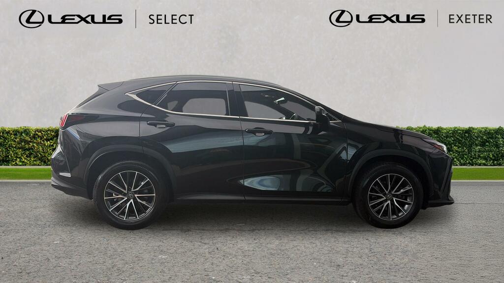 Lexus NX 2.5 350H Premium E-cvt 4Wd Euro 6 Ss Green #24