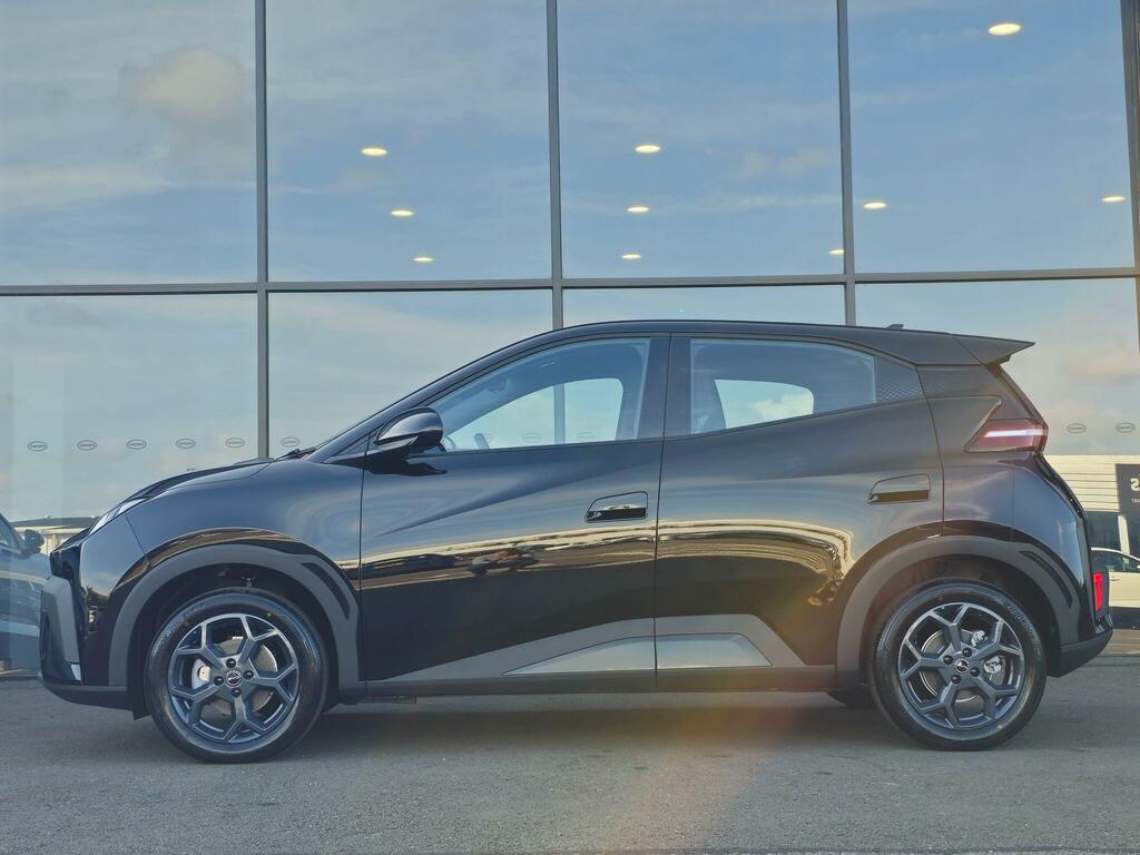 Byd Dolphin 43.2Kwh Boost #5