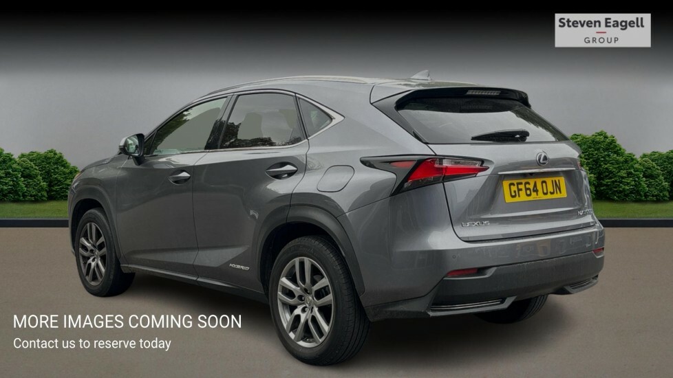Lexus NX 2.5 300H Luxury E-cvt 4Wd Euro 6 Ss Grey #2