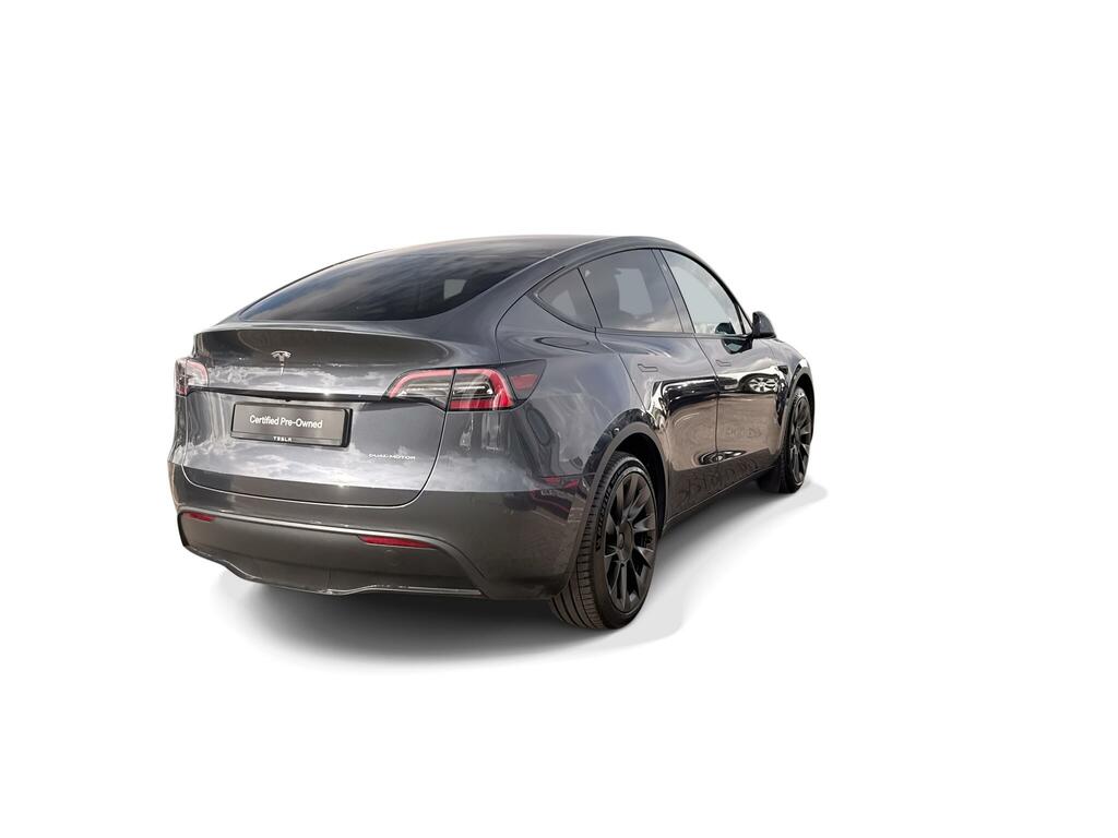 Tesla Model Y Long Range Silver #6