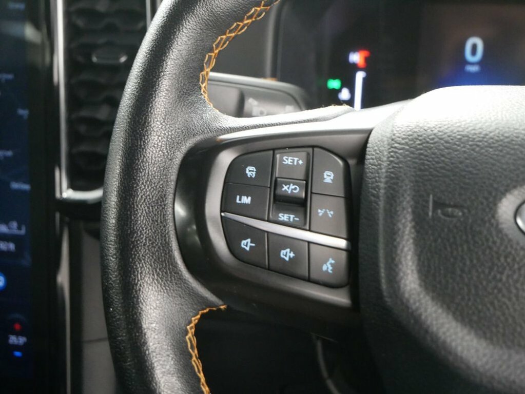 Ford Ranger 2.0 Ecoblue Wildtrak 4Wd Euro 6 Ss Black #34
