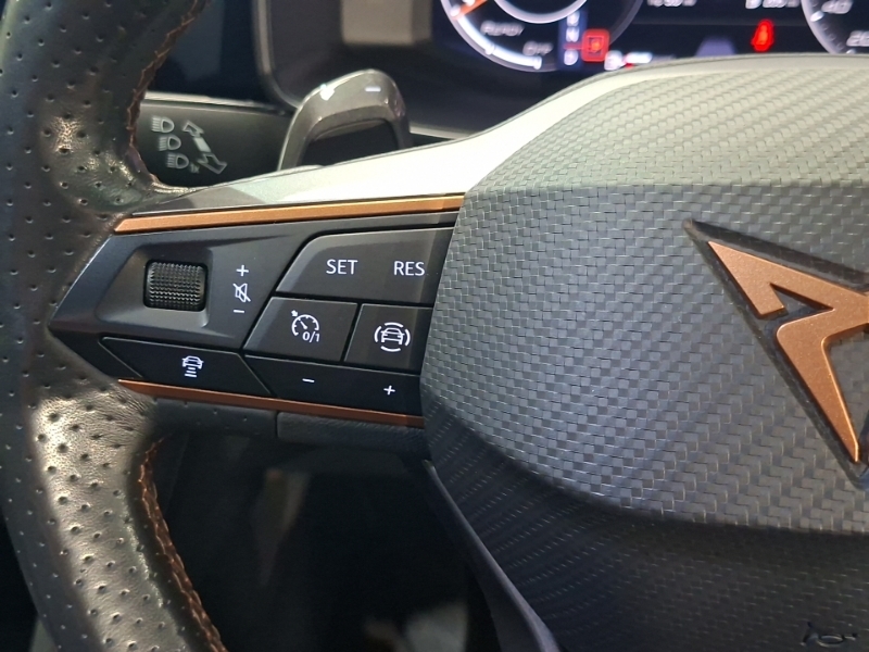 Cupra Formentor 1.5 Tsi 150 V2 Dsg Grey #12