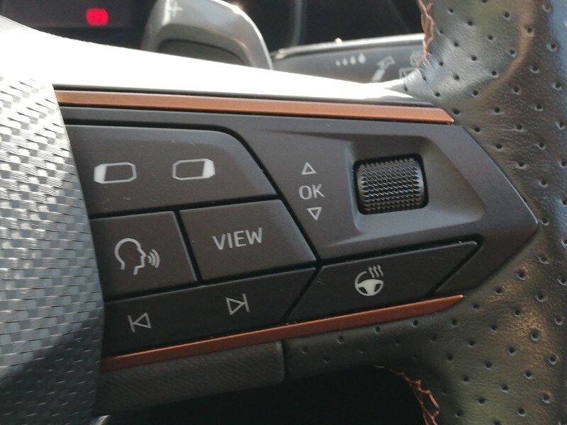 Cupra Formentor 1.5L V2 Grey #12