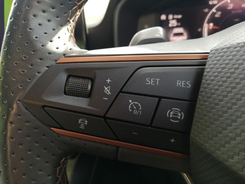 Cupra Formentor 1.5L V2 Grey #13