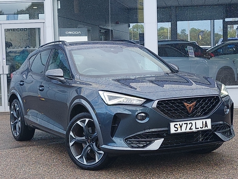 Cupra Formentor 1.5 Tsi 150 V2 Dsg Grey