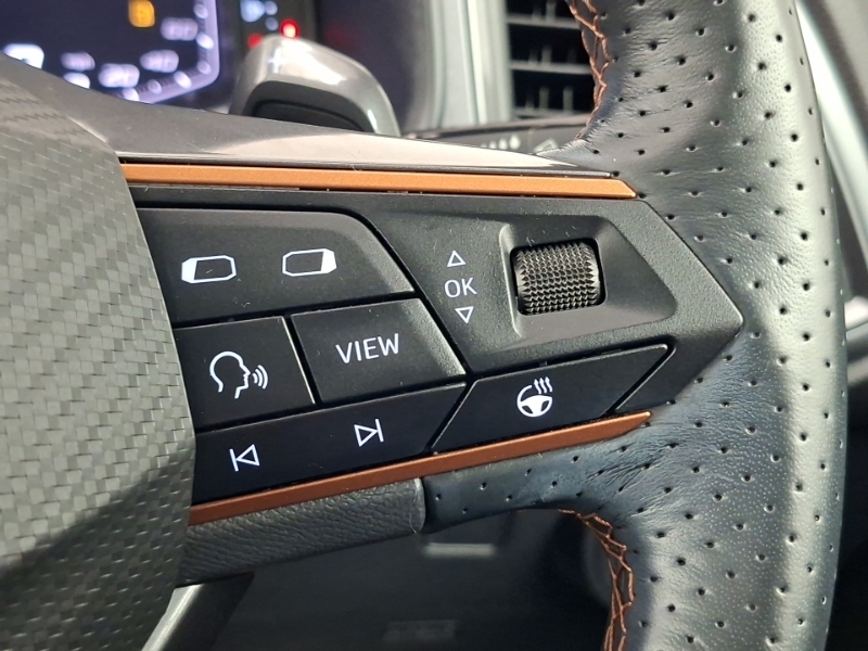 Cupra Ateca 2.0 Tsi Vzn Dsg 4Drive Green #13