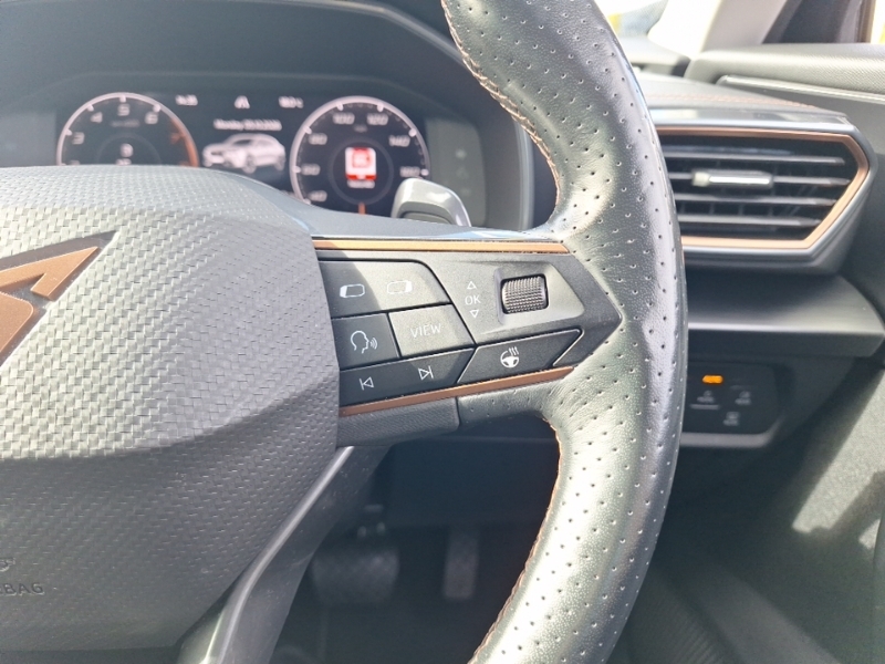 Cupra Formentor 1.5L V1 Black #13