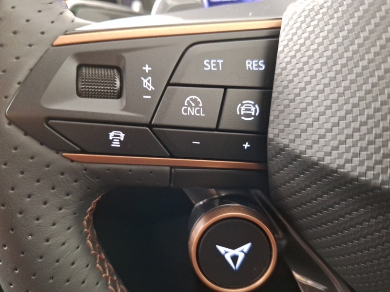 Cupra Terramar 2.0 Tsi 265 Vz2 Dsg 4Drive Black #12