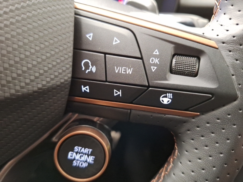 Cupra Terramar 2.0 Tsi 265 Vz2 Dsg 4Drive Black #13