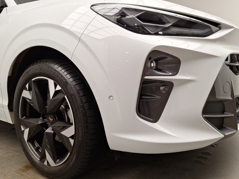 Cupra Terramar 2.0 Tsi 265 Vz2 Dsg 4Drive Black #20