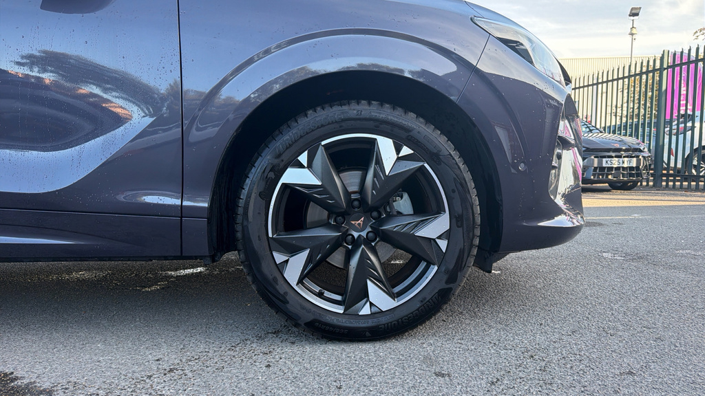 Cupra Terramar 1.5 Etsi V1 Dsg Euro 6 Ss Purple #20