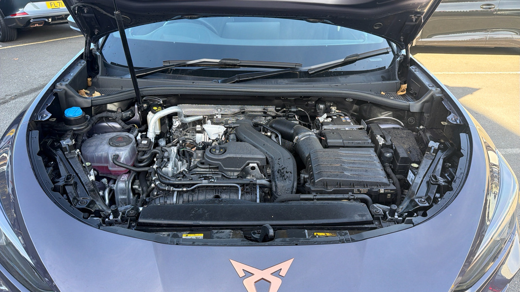 Cupra Terramar 1.5 Etsi V1 Dsg Euro 6 Ss Purple #16