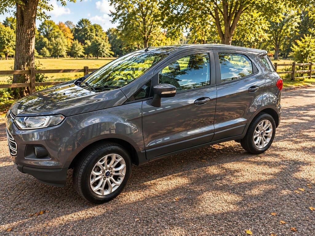 Ford Ecosport 1.5 Zetec 2Wd Euro 5 Grey #4