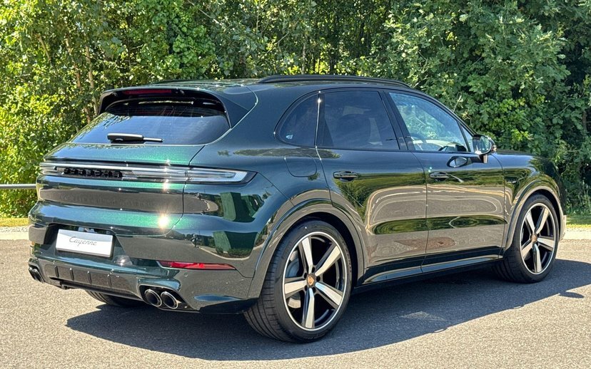Porsche Cayenne 850Kw Turbo 113Kwh Silver #10