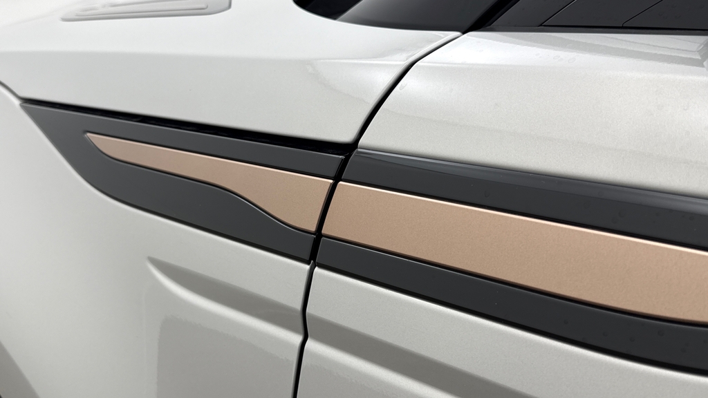 Land Rover Range Rover Evoque 2.0 D200 Black #20