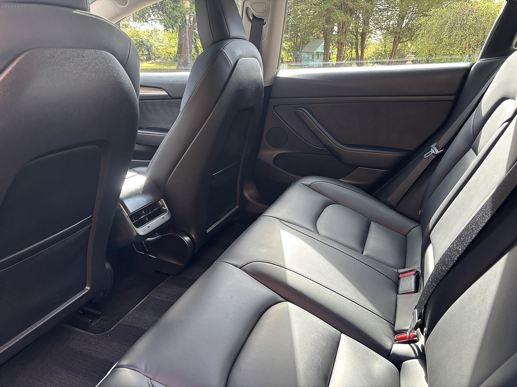 Tesla Model 3 Rwd 4dr Auto Grey #24