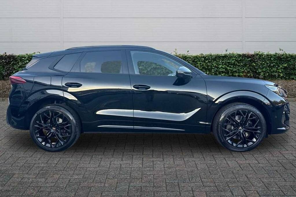 Cupra Terramar 2.0 Tsi 265 Vz2 Dsg 4Drive Black #4