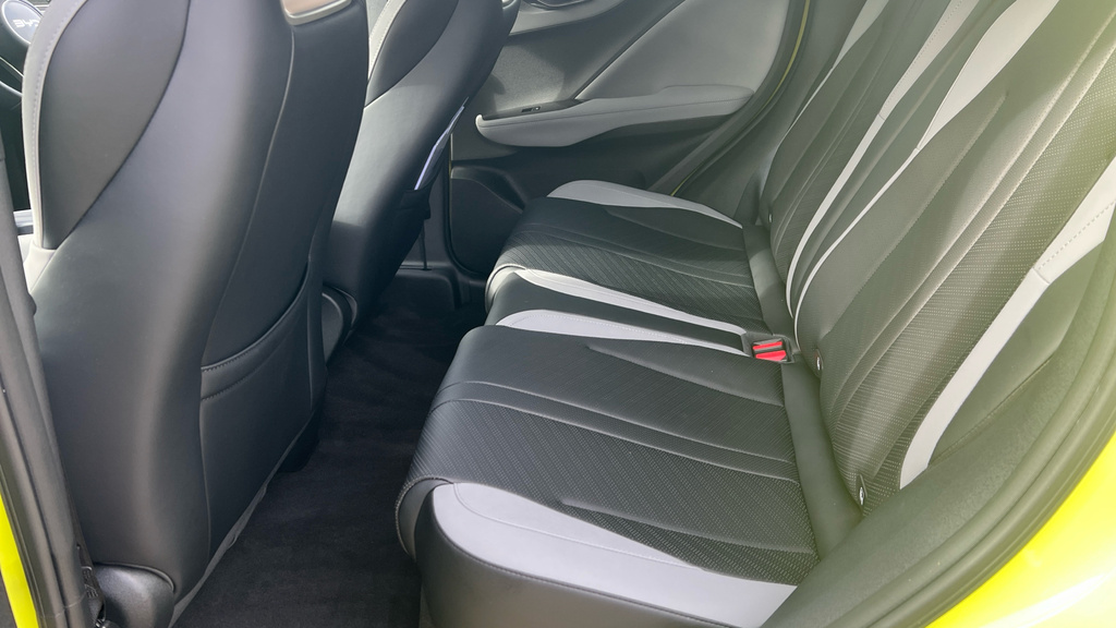 Byd Dolphin Comfort Green #17
