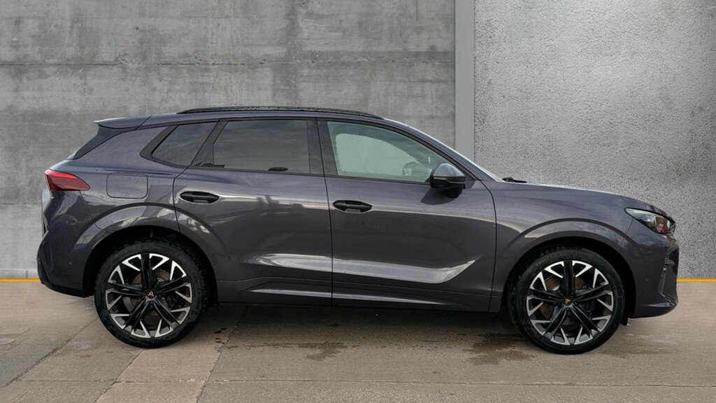 Cupra Terramar Terramar 2.0 Tsi 265 Vz2 Dsg 4Drive Purple #4