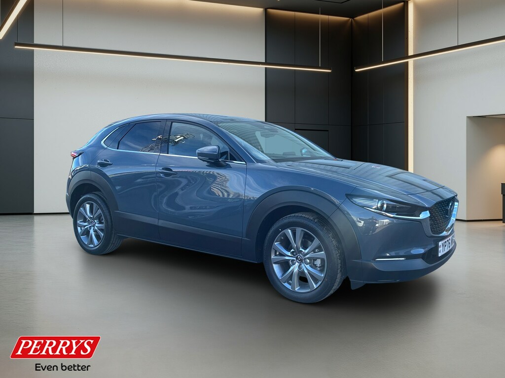 Mazda CX-30 2.5 E-skyactiv G Mhev 140 Takumi Grey #2