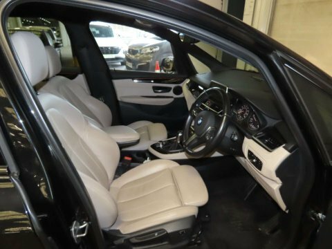 BMW 2 Series 218I Sport Blue #10