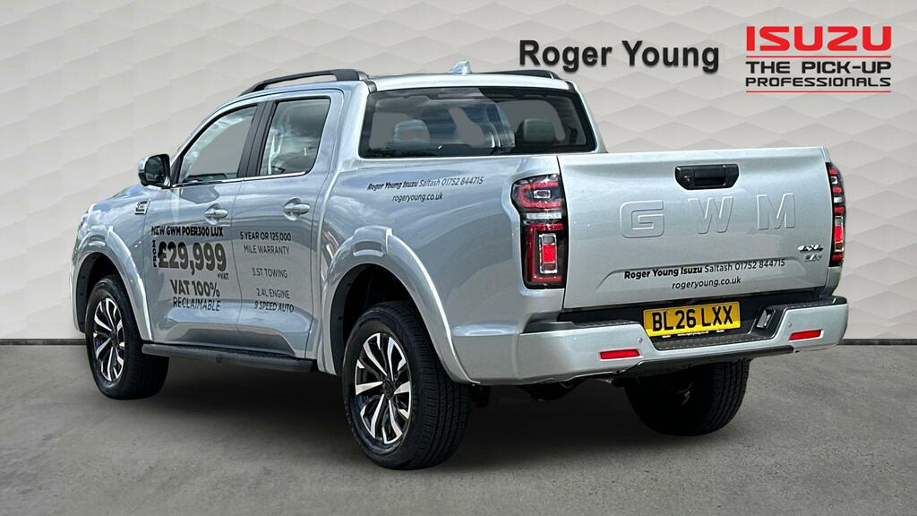 Great Wall POER300 2.4Lux D Silver #2