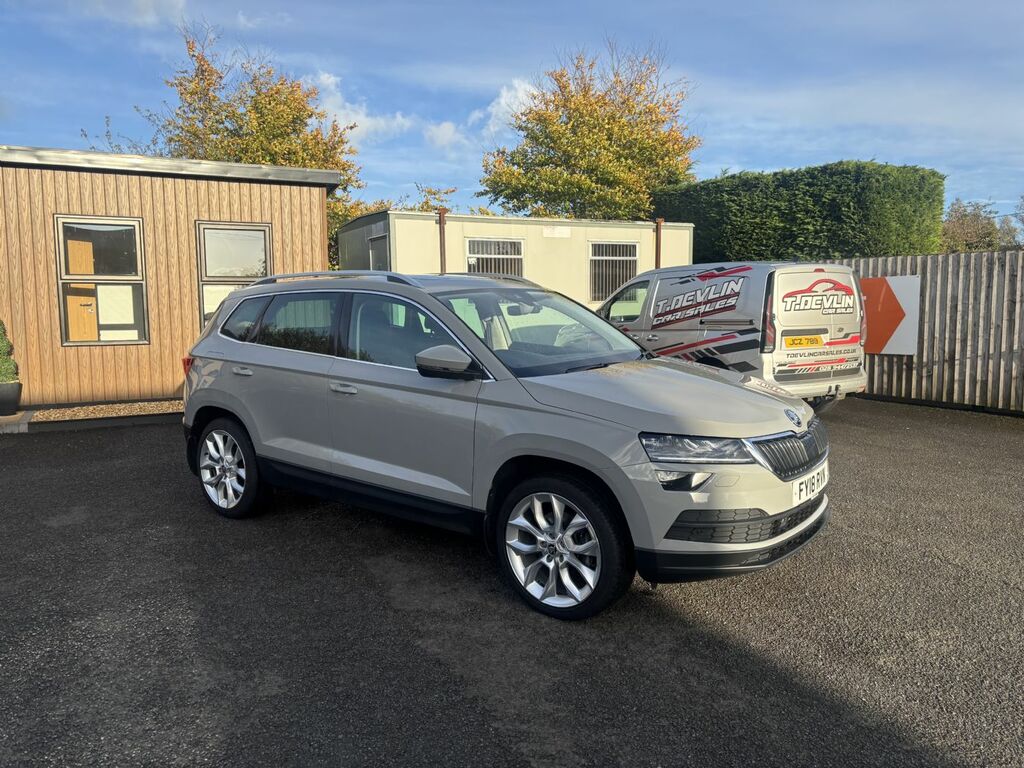 Skoda Karoq 2.0 Tdi Edition 4X4 Dsg Grey