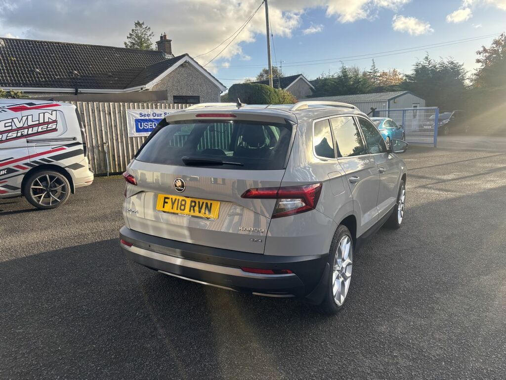 Skoda Karoq 2.0 Tdi Edition 4X4 Dsg Grey #3