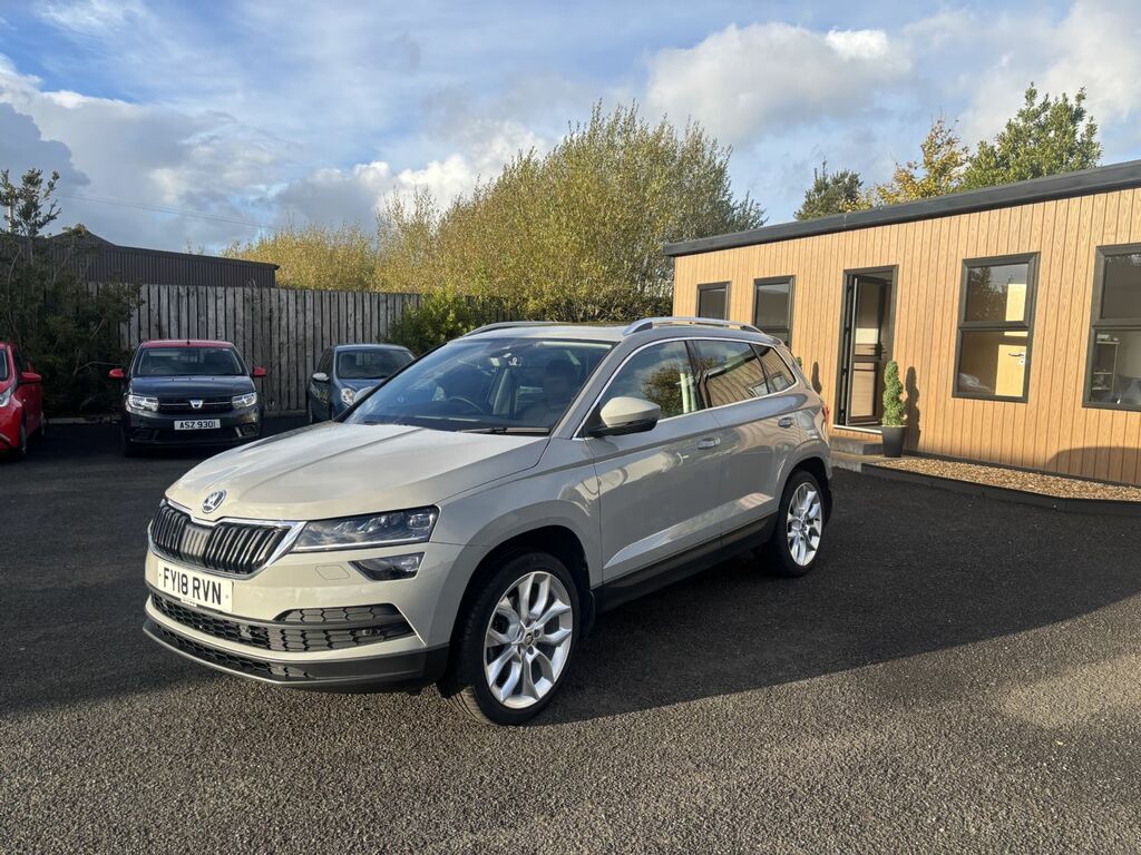 Skoda Karoq 2.0 Tdi Edition 4X4 Dsg Grey #2