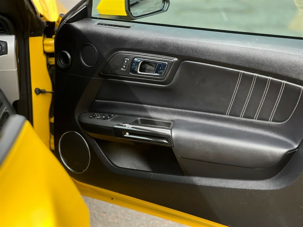 Ford Mustang Petrol #15