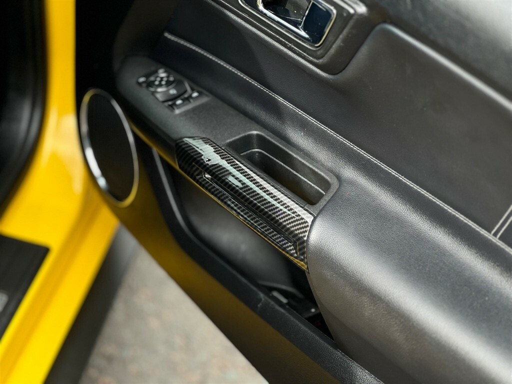 Ford Mustang Petrol #28