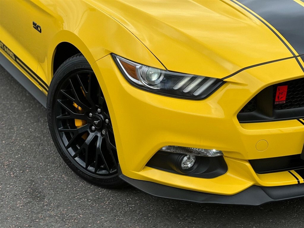 Ford Mustang Petrol #29