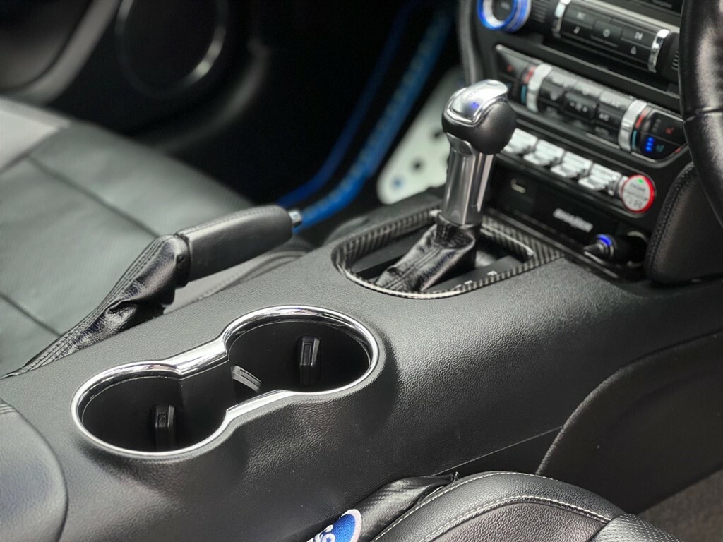 Ford Mustang Petrol #19