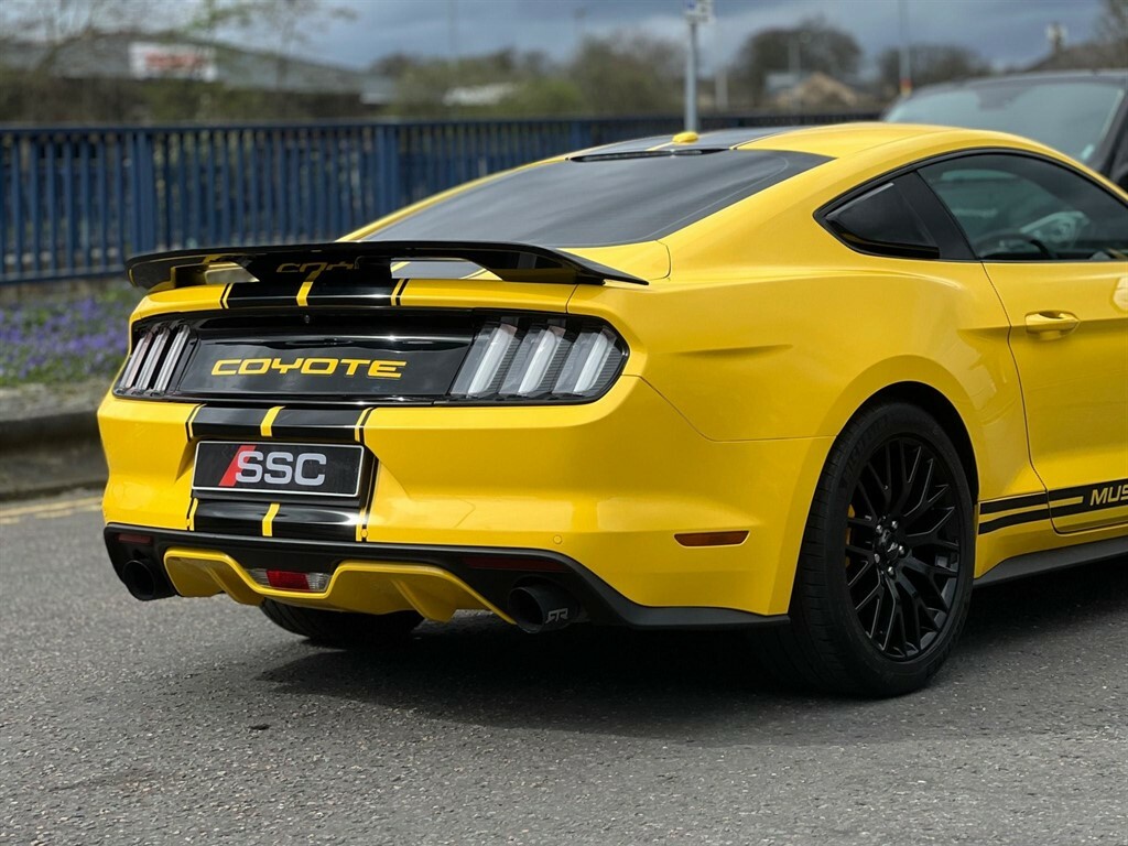 Ford Mustang Petrol #13