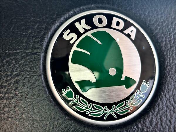 Skoda Superb 2.5 Tdi V6 Elegance #28