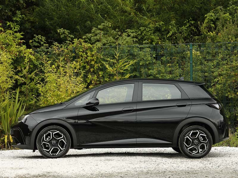 Byd Dolphin 150Kw Comfort 60.4Kwh Black #4