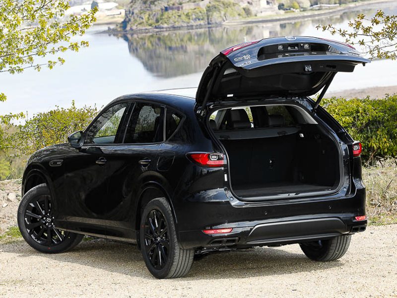 Mazda CX-60 3.3D 254 Homura Awd Black #5