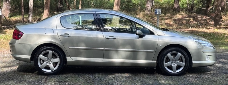 Peugeot 407 1.6 Hdi Se 200858 Grey #10