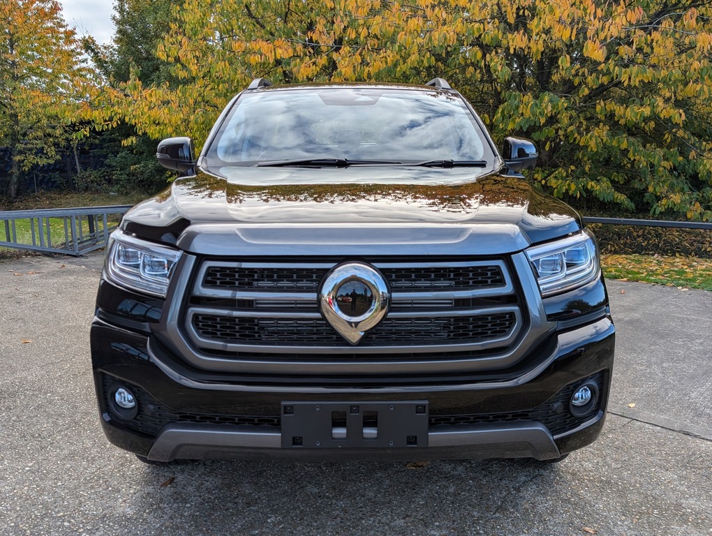 Great Wall POER300 Lux #5