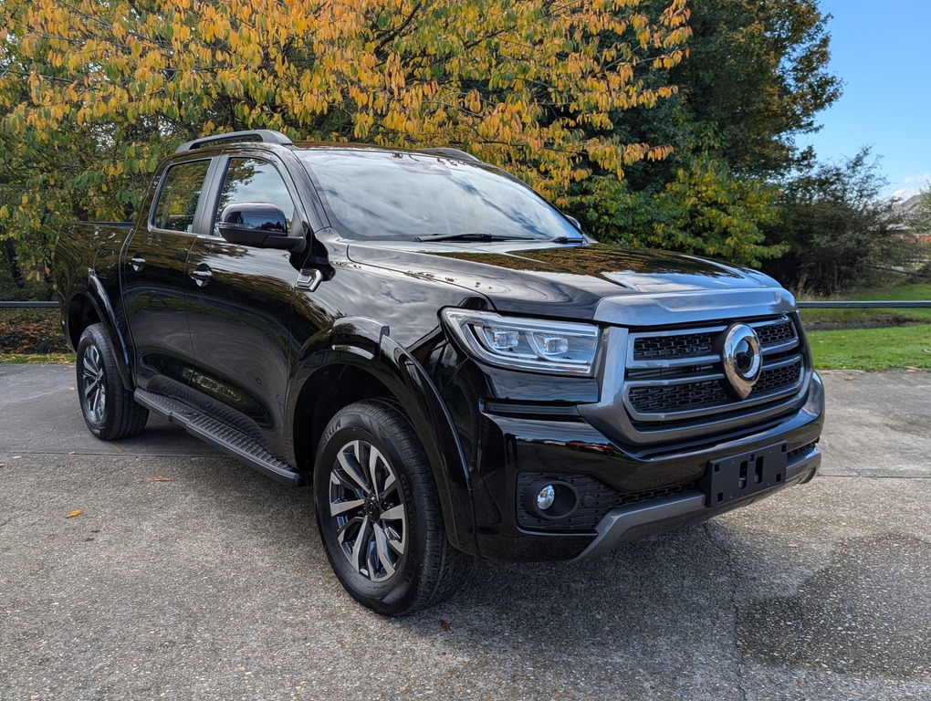 Great Wall POER300 Lux #4