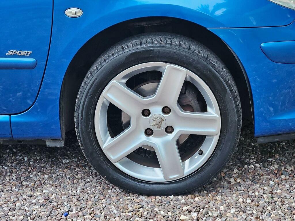 Peugeot 307 Se Hdi 110 Grey #28