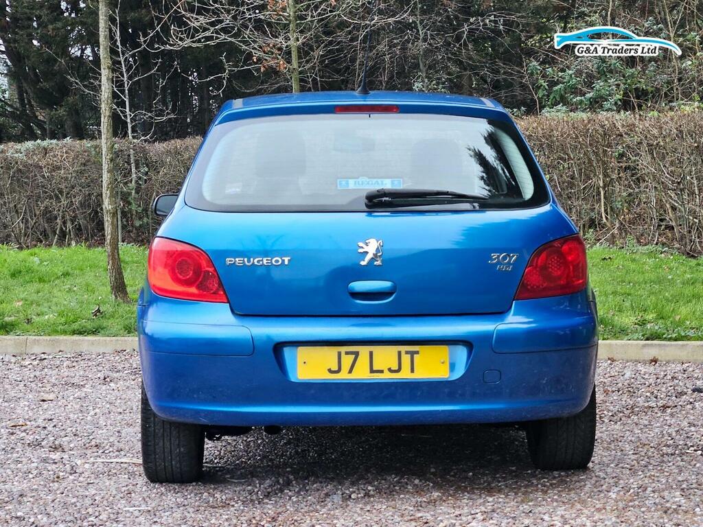 Peugeot 307 Se Hdi 110 Grey #6