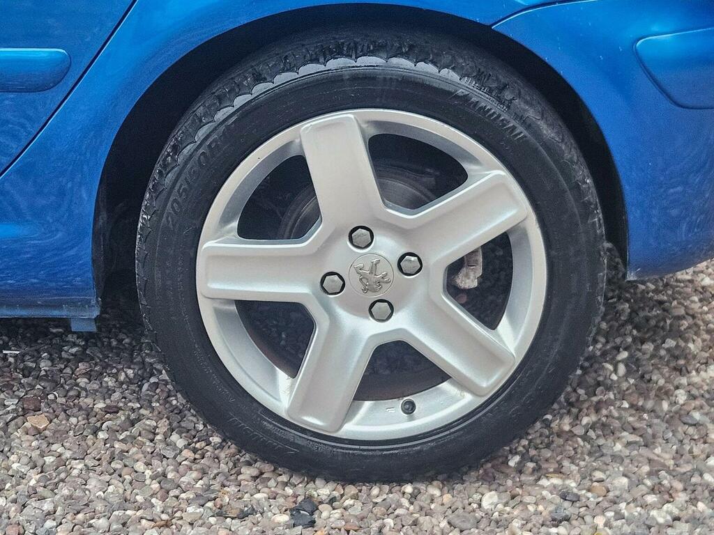 Peugeot 307 Se Hdi 110 Grey #30