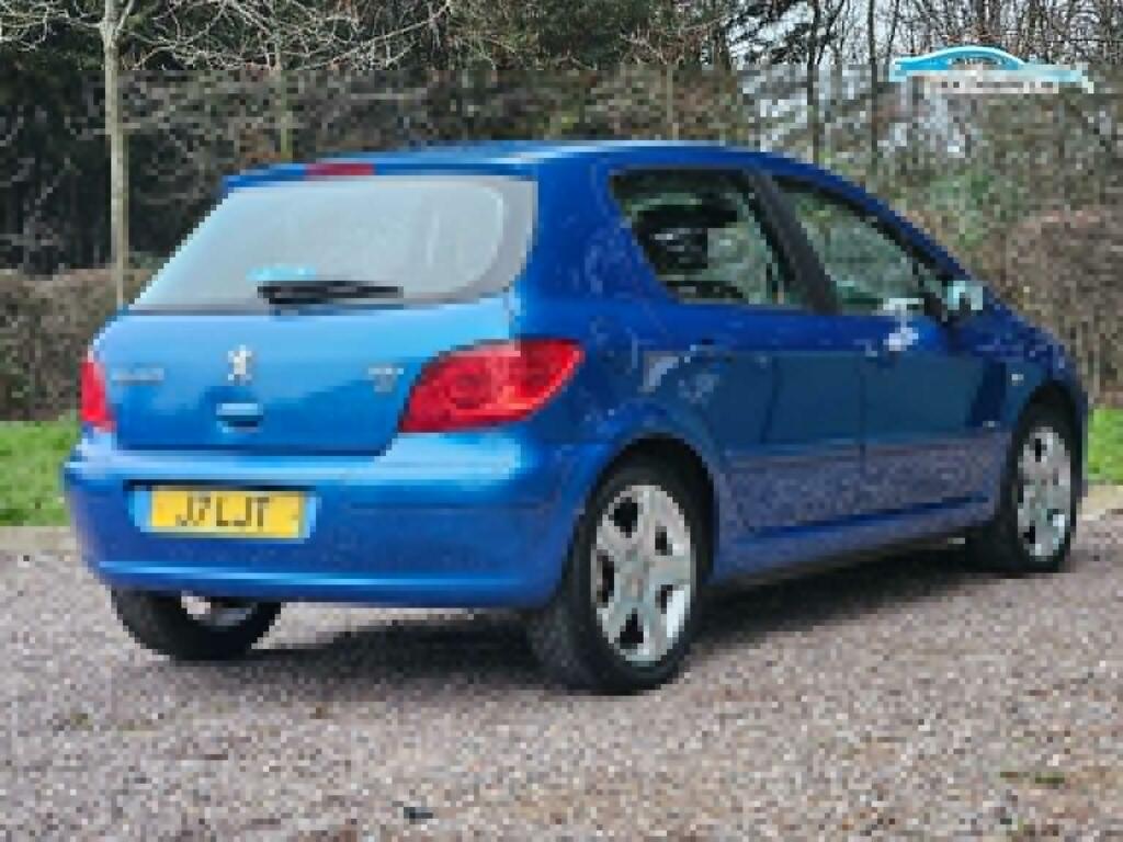 Peugeot 307 Se Hdi 110 Grey #7