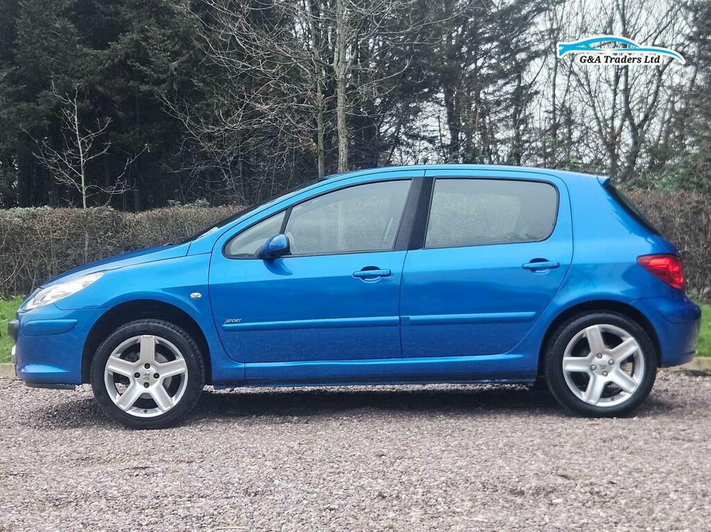 Peugeot 307 Se Hdi 110 Grey #4