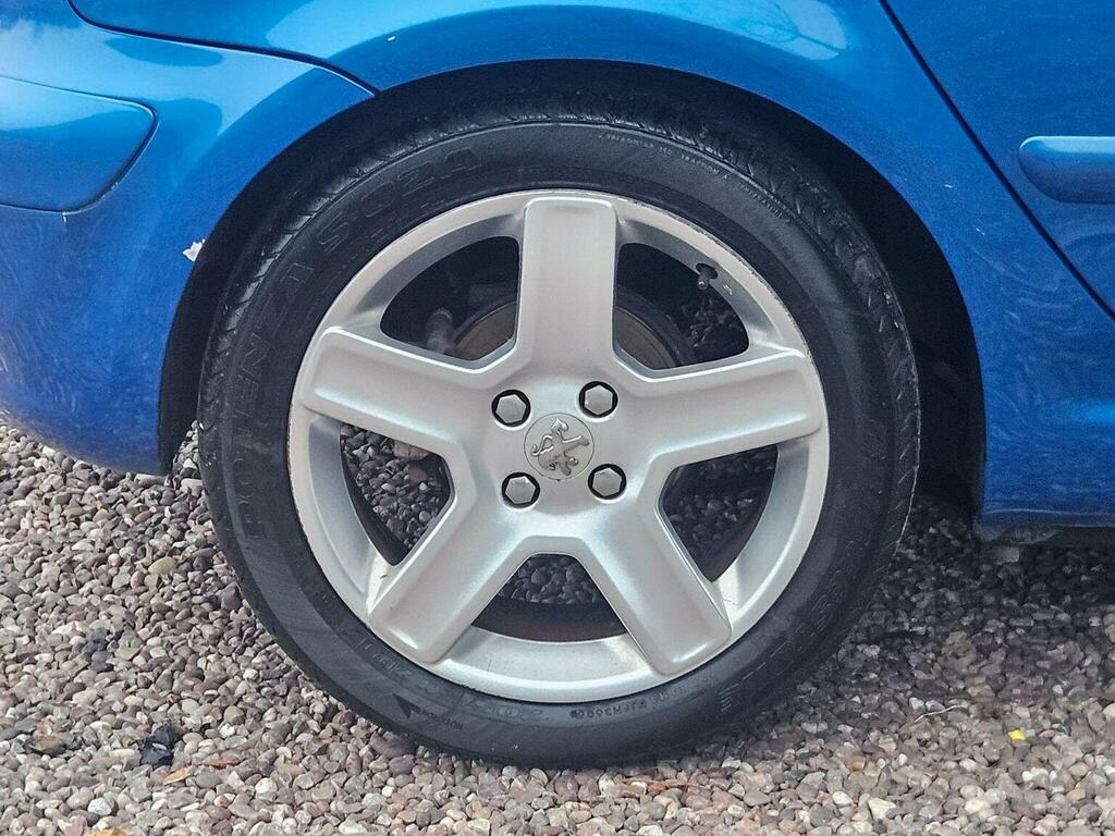 Peugeot 307 Se Hdi 110 Grey #27