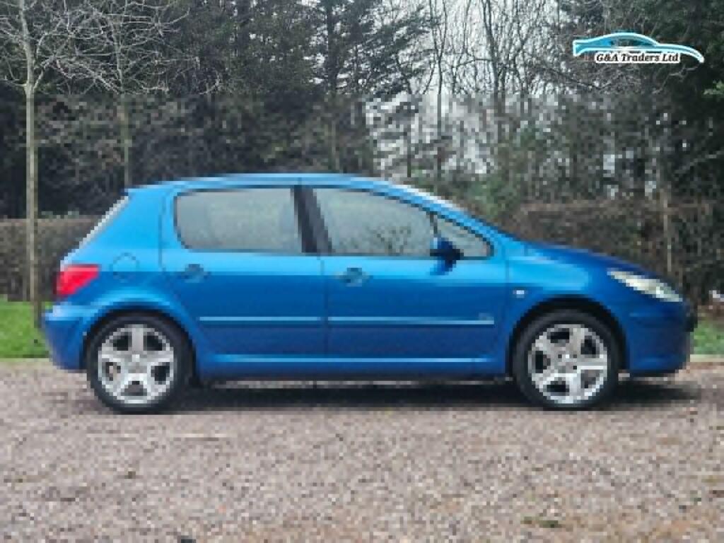 Peugeot 307 Se Hdi 110 Grey #8